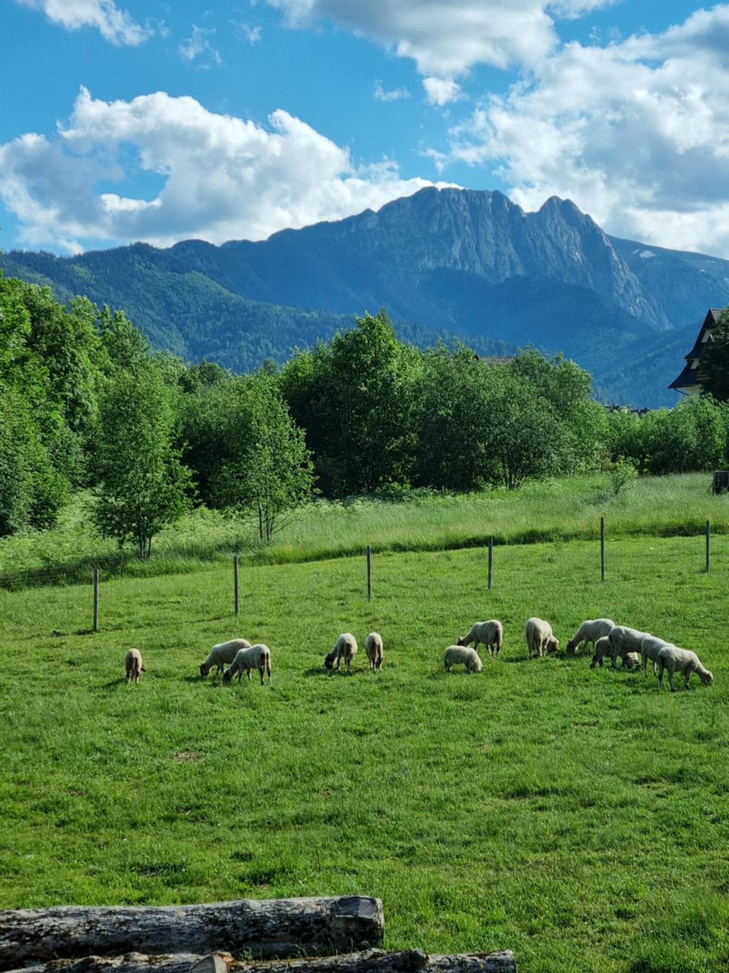 Podhalanska